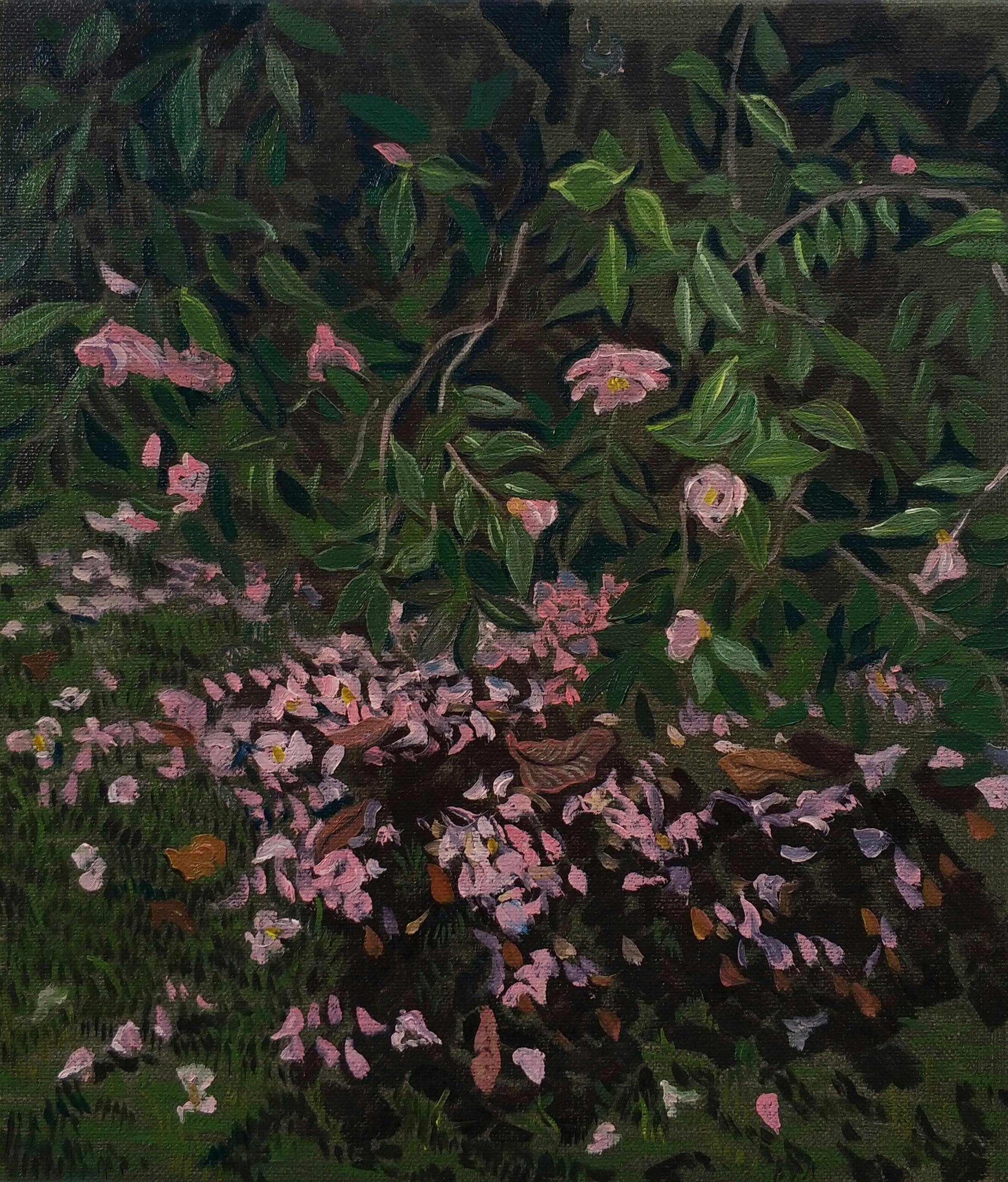 Dayan J, Falling Flowers, 35x30cm, Oil on Linen