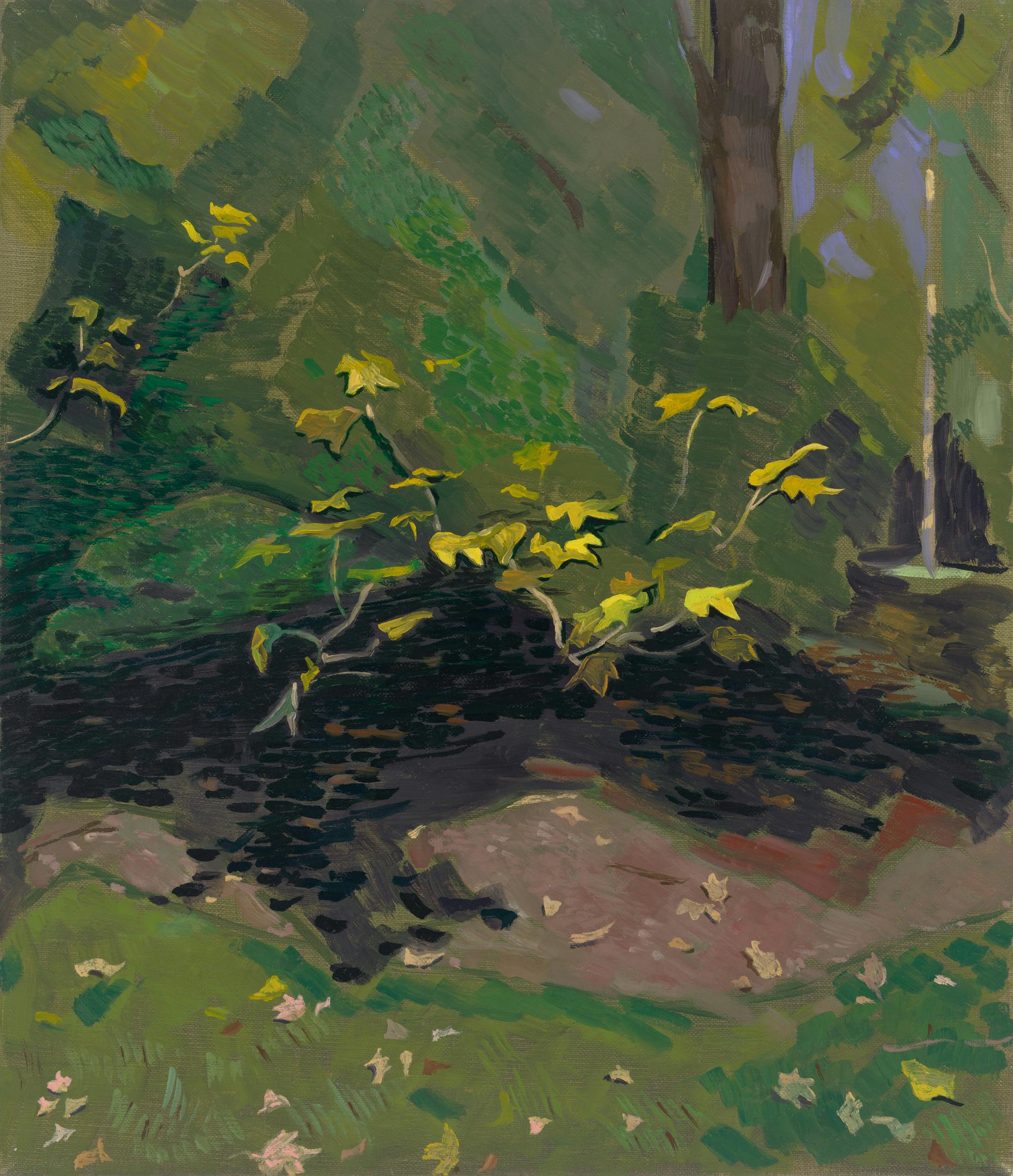 Dayan J, Leaves and Shadows, Oil on Linen, 35x30cm